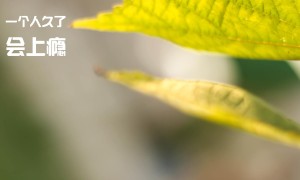 2025-2030年中國崗梅根行業運營態勢與投資前景調查研究報告