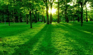 一歲小孩不吃奶粉怎么辦？