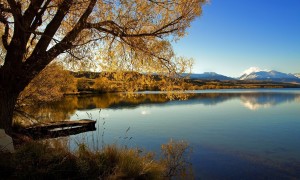 懷孕喝孕婦奶粉會長胖嗎？如何科學選擇和合理攝入？