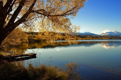 十大熱門純電動汽車_電動汽車排名_最好的新能源純電動車