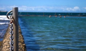 澳優愛優奶粉是否適合嬰幼兒的日常營養需求？