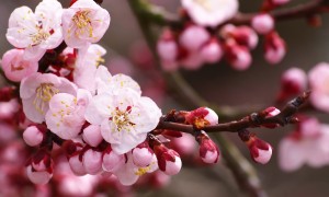 沈陽十大祈福圣地_沈陽燒香拜佛適合去哪里_沈陽燒香許愿的地方