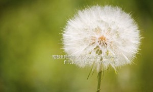 工行e卡套餐中，哪個更具性價比？