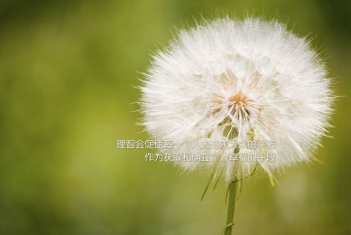 創造與魔法特制寵物糧配方大全 特級寵物糧獲取配方一覽