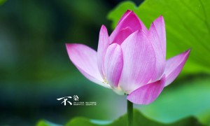 文山邊境管理支隊(duì)2025年度裝配式警務(wù)用房采購項(xiàng)目競(jìng)爭(zhēng)性談判公告