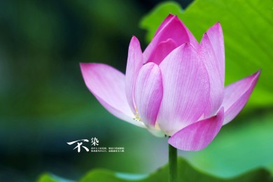 黃花溝旅游景區在哪里_黃花溝在哪里