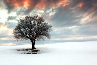 (截止7月30日)北海市殘疾人康復培訓中心招聘公告