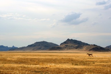 DeepSeek：開啟幼兒園智能管理新征程