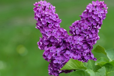 2025蠶絲面膜10大品牌排行榜【最新名單公布】