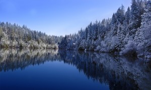 長期喝奶粉真的有害健康嗎？
