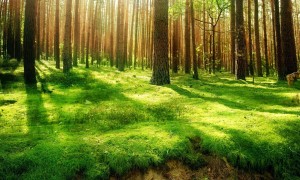 蠶豆病寶寶吃什么奶粉好？