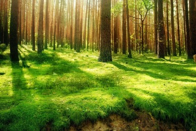 牛批了，小學生作品，值得一試