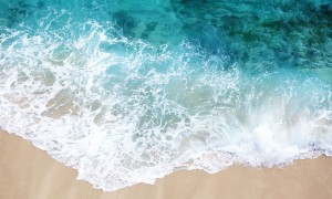 宜品益臻奶粉好不好？深入探究其品質與優勢