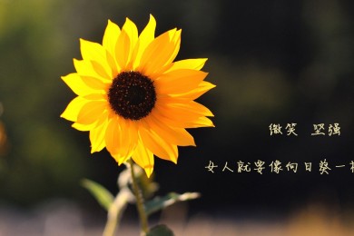Lemovt.樂(lè)芯品牌_樂(lè)芯牌子口碑_Lemovt實(shí)力檔次排名