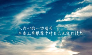 2025-2030年中國學生專用科學計算器行業市場深度研究及發展前景投資可行性分析報告