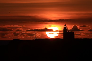 十大海淘網排行榜-海外購物網站都有哪些