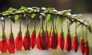 用母嬰店的奶粉可靠嗎？如何確保寶寶的食品安全？