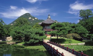 新生兒第二天喝多少奶粉？新手父母必須了解的關鍵信息