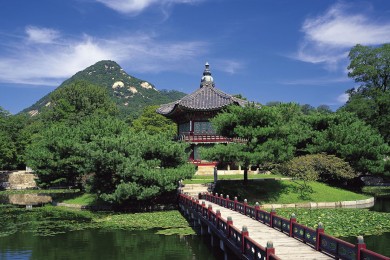 電吹風品牌排行榜前十名_電吹風品牌哪個好