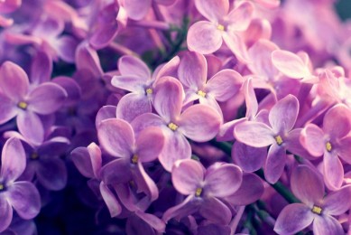 上海老字號餅干十大品牌排行榜_上海老字號餅干品牌排名_上海老字號餅干品牌排行榜