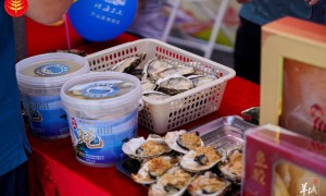 珠港澳三地漁民同慶豐收，“媒體+”引領現(xiàn)代農(nóng)業(yè)“特區(qū)路徑”