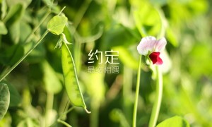 什么牌子的去斑霜好_看完這篇文章你就明確了