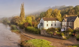 女士高鐵高鈣奶粉真的能幫助女性改善貧血和骨質疏松嗎？