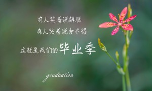 2025-2030年中國(guó)小型攝像機(jī)行業(yè)重點(diǎn)企業(yè)發(fā)展分析及投資前景可行性評(píng)估報(bào)告告