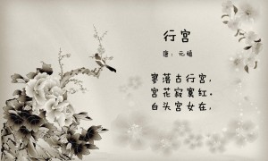 西青U19:克爾姆CFU19vs穆爾西亞學者U19賽前分析