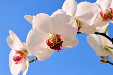 武警警官學院畢業包分配嗎？待遇如何？看近三年錄取分數線