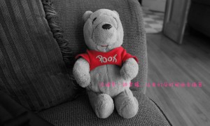 泉州五中桂壇校區(qū)藝術(shù)中心建設(shè)結(jié)果公告（采購包1）