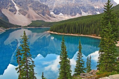 十大布洛芬品牌-布洛芬緩釋膠囊_布洛芬片品牌