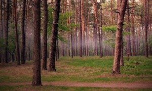 1個月寶寶吃多少毫升奶粉？新手父母必看的喂養(yǎng)指南