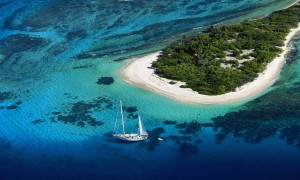 伊利有機奶粉是否真的更健康？