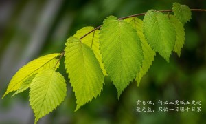 GRUNDFOS.格蘭富品牌_格蘭富牌子口碑_GRUNDFOS實力檔次排名