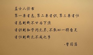 幻獸帕魯羽箭射手怎么捕捉？羽箭射手捕捉方法介紹