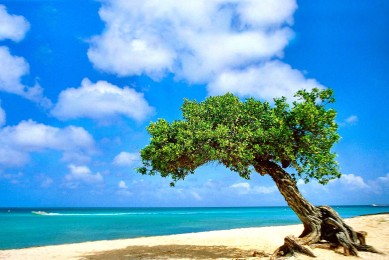 四輪電動車十大品牌排行榜_四輪電動車品牌排名_四輪電動車品牌排行榜