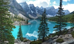 雀巢小佳膳奶粉怎么樣？適合特殊營養需求的嬰幼兒嗎？