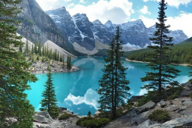 ARTISTIC&CO.品牌_ARTISTIC&CO.實(shí)力檔次排名