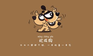 Archon信息推送智能手環(huán)品牌排行榜-智能手環(huán)哪家品牌好