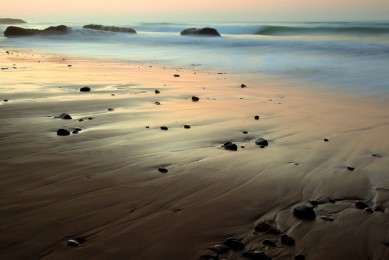 福建十大著名特產_福建有哪些特產_福建值得帶走的特產