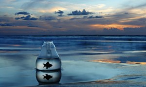 千手綱手-《火影忍者》漫畫(huà)角色