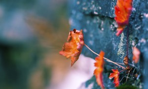 喝奶粉會加重痰嗎？