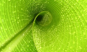 十大免費mp3音樂網站_mp3歌曲下載網站哪個好_MP3音樂網站大全