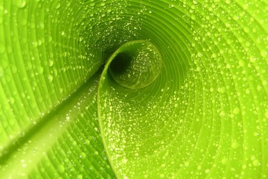 十大免費(fèi)mp3音樂(lè)網(wǎng)站_mp3歌曲下載網(wǎng)站哪個(gè)好_MP3音樂(lè)網(wǎng)站大全