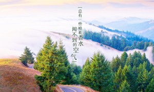 淮安春季旅游必去十大景點 淮安春季旅游攻略