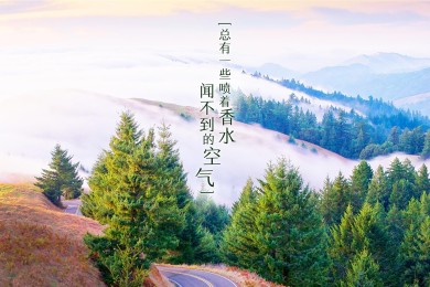 怎么樣免流量更新王者卡