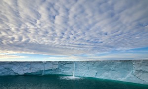 活性葉酸十大品牌排行榜_活性葉酸品牌排名_活性葉酸品牌排行榜