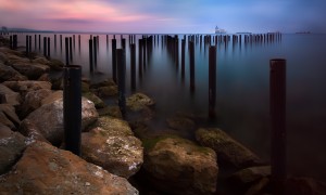 用奶粉買全脂還是脫脂？哪一個更適合你？