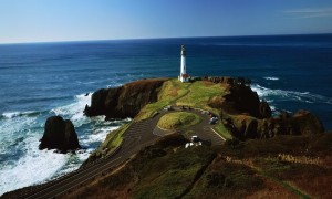 完達山奶粉配料表圖片中，你是否注意到這些關鍵成分？